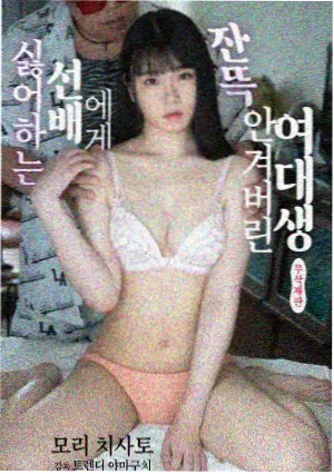 史上最强赘婿